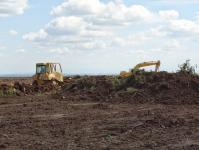 Imagine atasata: A1-Tm-Lg-dorum-2014-Aug-25.JPG